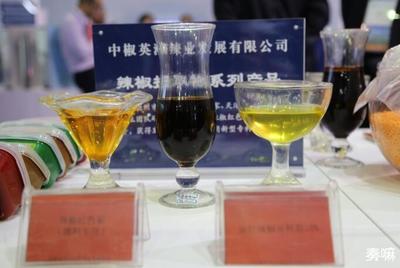 德州市招才引智成果展驚艷亮相，八大亮點引領人才新高度
